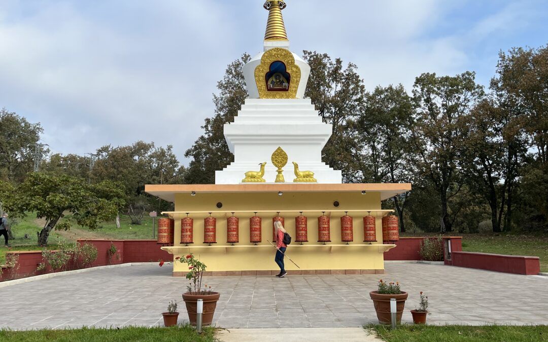 Retiro de Yoga en Tierra de Budas